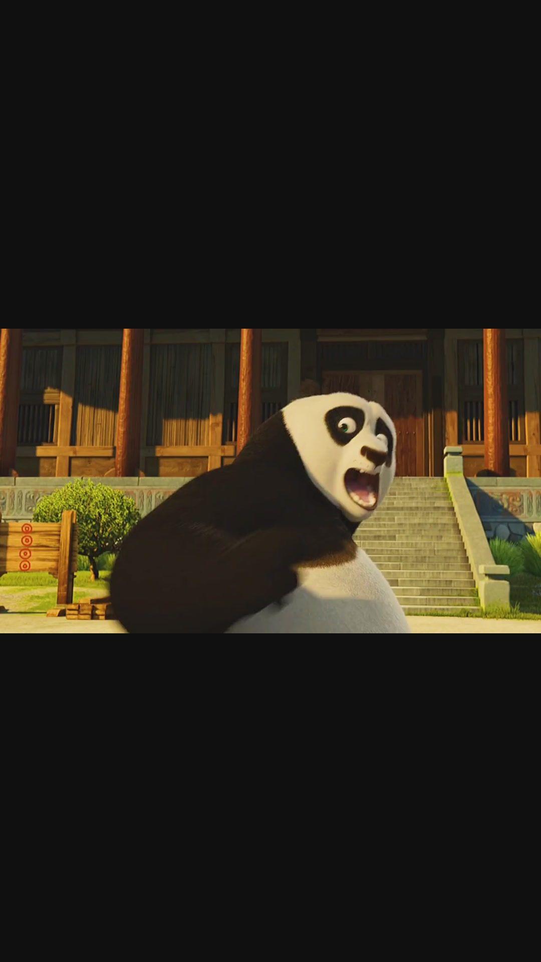 功夫熊猫今日推荐