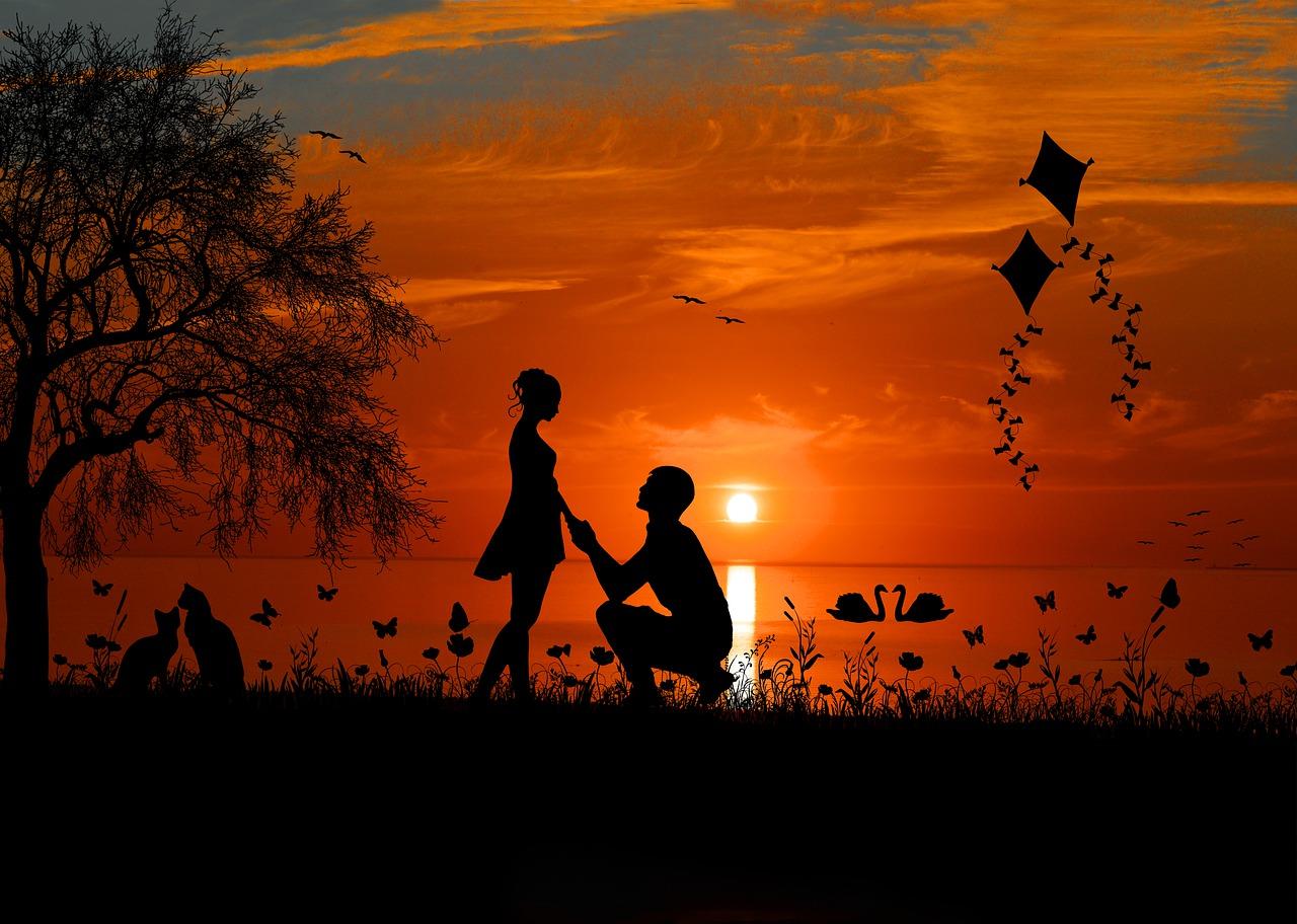 美丽的误会什么意思