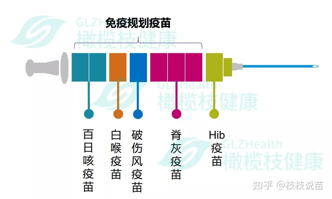 什么是五联疫苗?