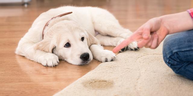 v2-9b50ec892a36a795759f78c640abe427_1440w.jpg?source=172ae18b