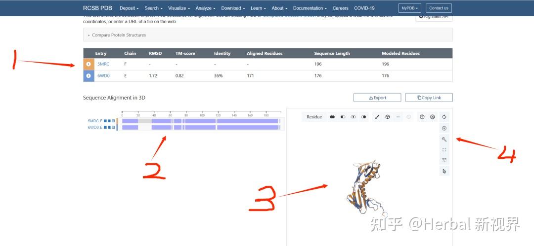用PDB网站比较蛋白质的3D结构 - 知乎