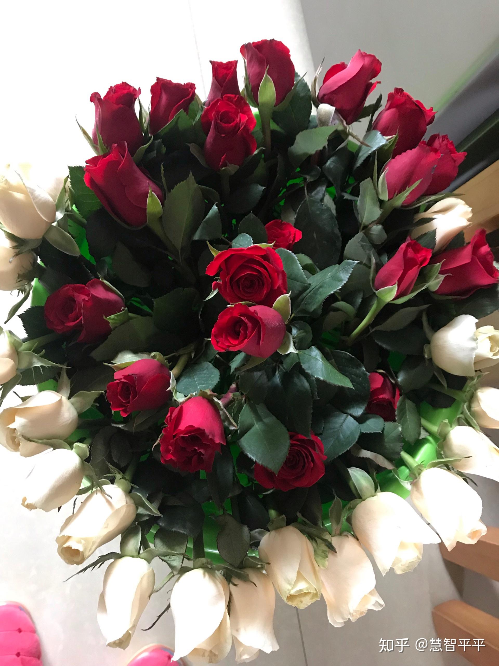 鲜玫瑰花买回后怎么保存一个月? - 知乎