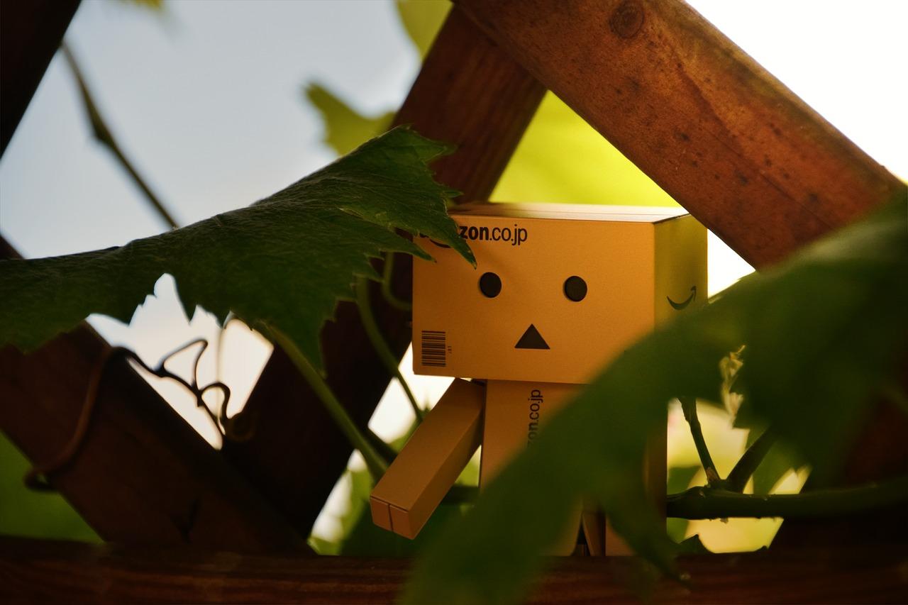 2. 根系结构剖析