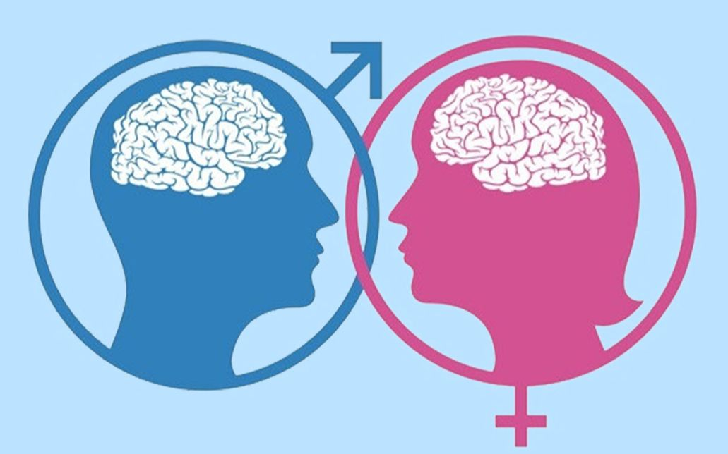 解密你不知道的性别差异