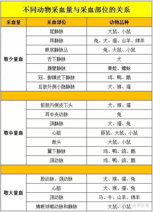 动物实验之实验动物血液采集方法 知乎