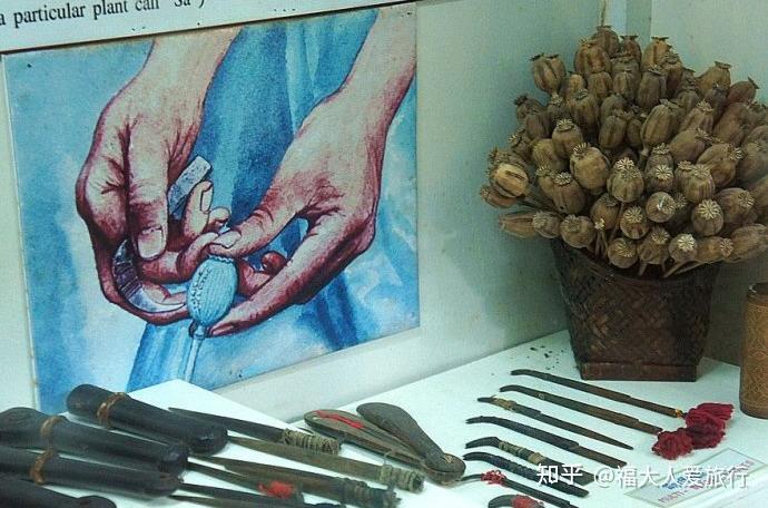 罂粟果壳剥离制作的流程图和采制工具各种吸食鸦片的工具和烟枪烟枪头