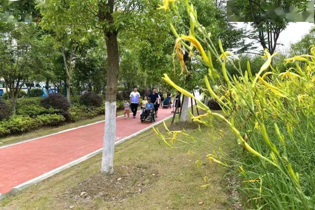 崭新的步道,垂柳依依,景色盎然,堆绿新材 云讯匠智;堆品质信用,绿安全