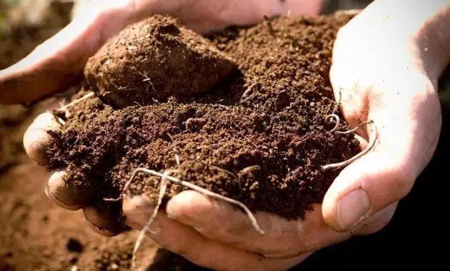 这里的土壤简单说是以石灰石黏土为主,但细数到每一块田可谓千变万化