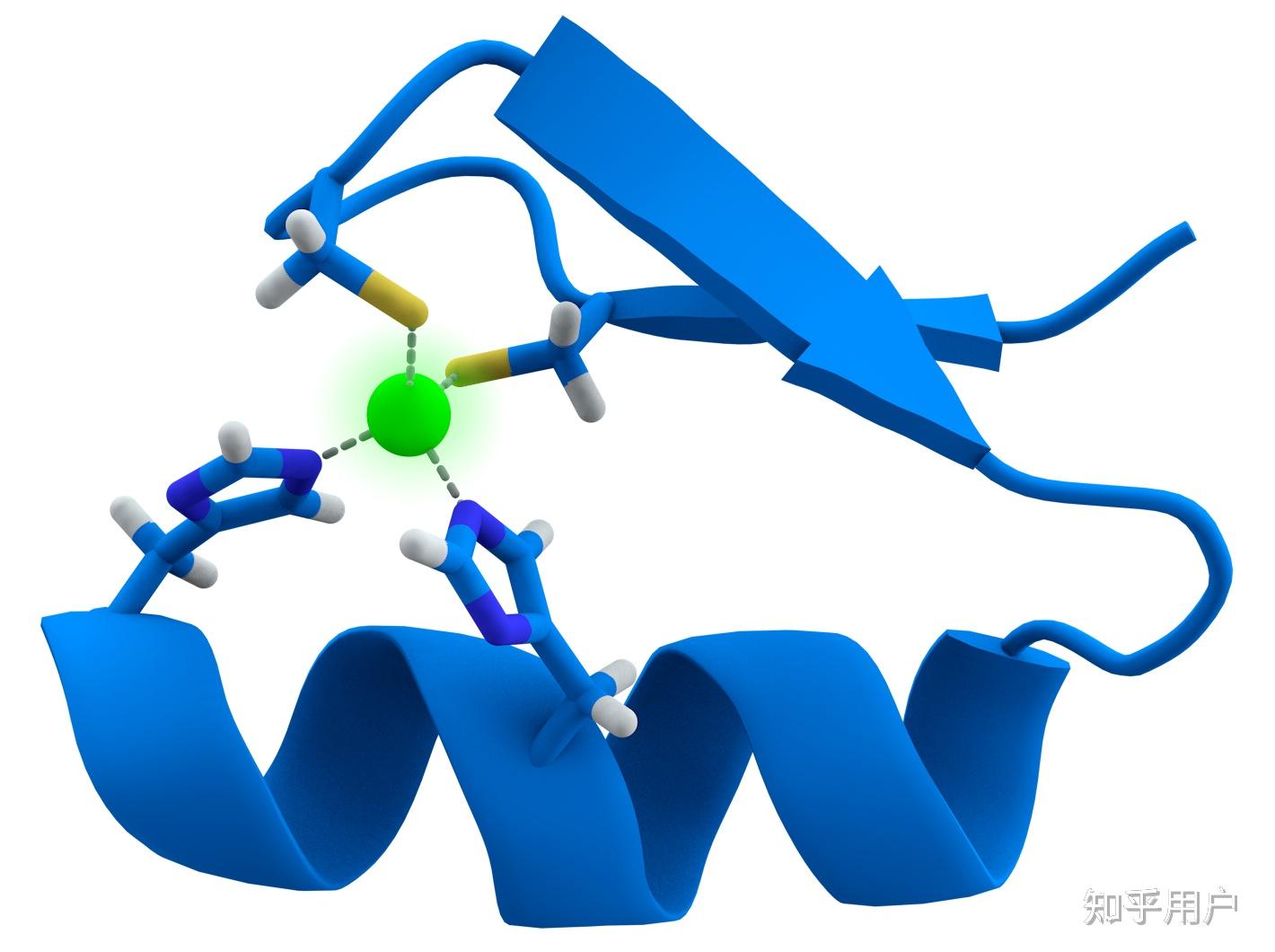 白蛋白素材-白蛋白图片-白蛋白素材图片下载-觅知网