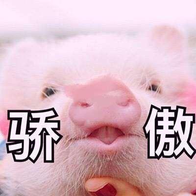 v2-9b7b44f9bc624de8fee4c6fa31d8e5b0_b.jpg