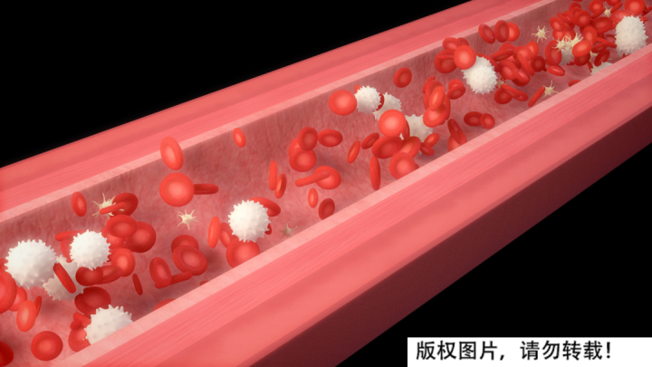 血管硬了,很难再软回去!想要预防改善,先要学会吃这些… - 知乎
