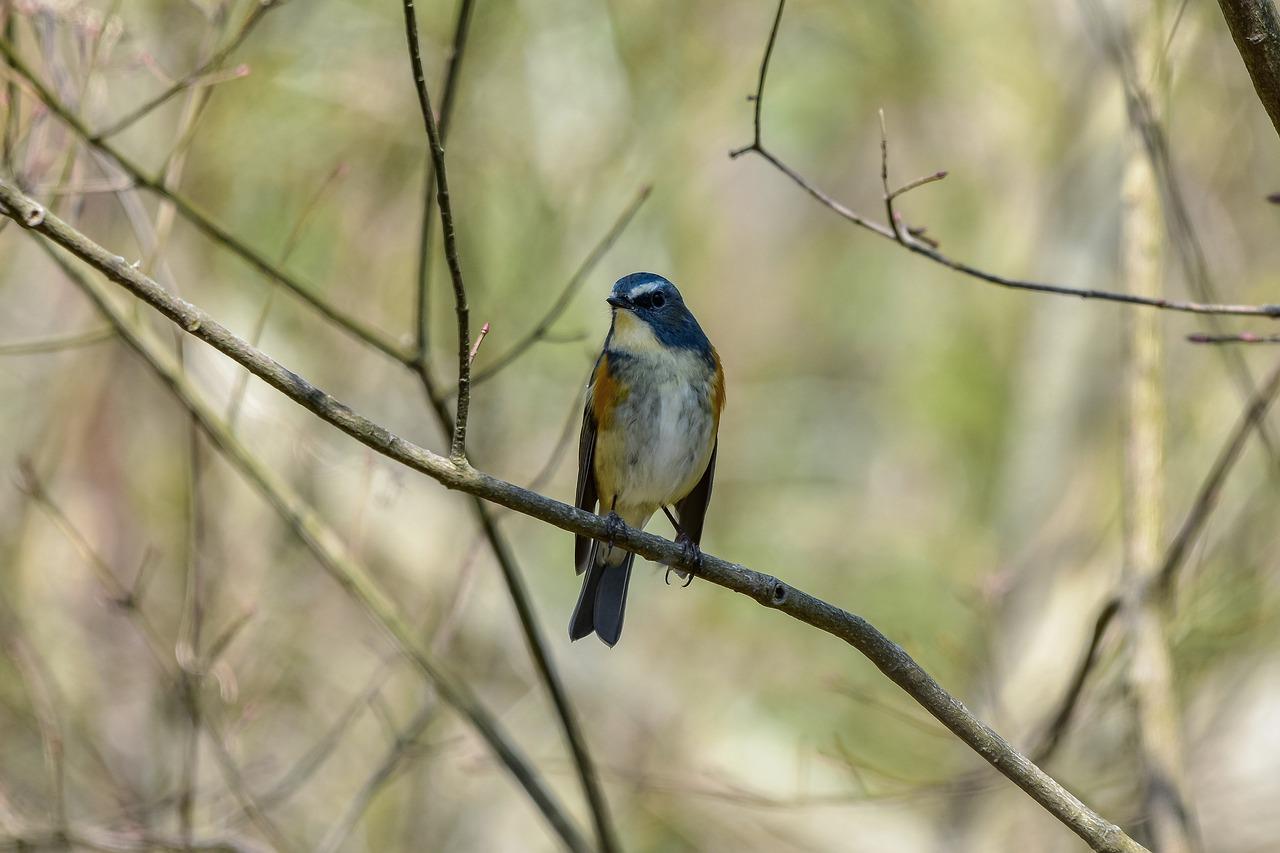 3. 棕椰垫价格对比