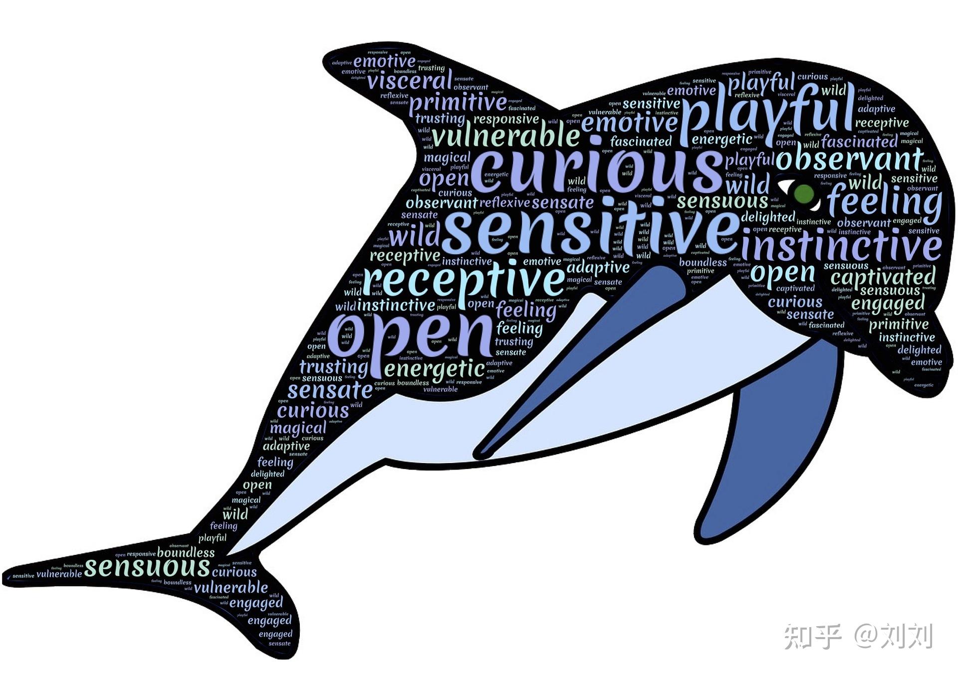 知觉的基本特性