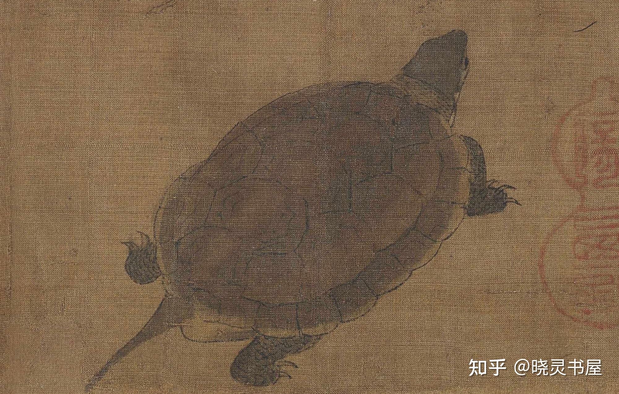 五代黄筌 | 《写生珍禽图》卷 - 知乎