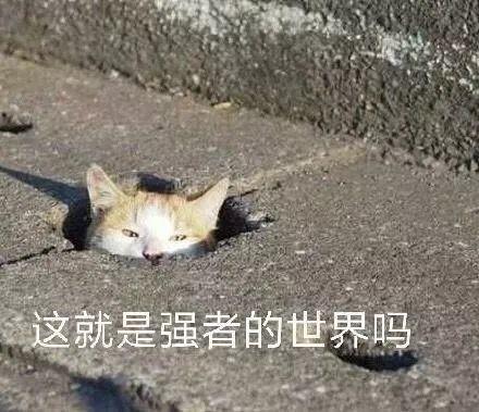 风雪文案沙雕,风雪文案沙雕句子