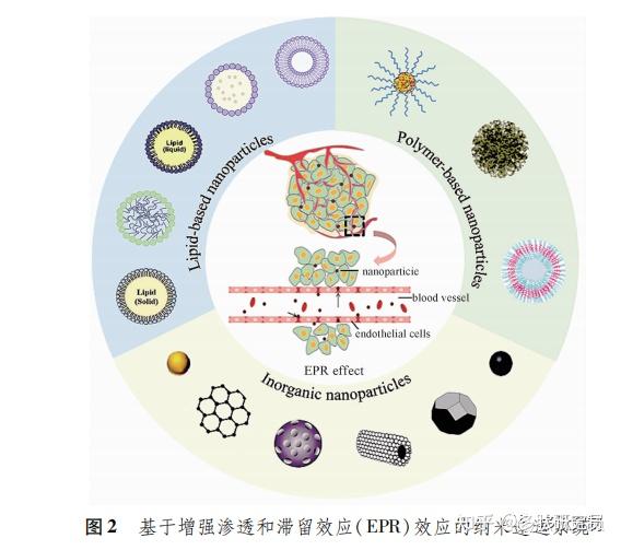 基于肿瘤微环境增强抗肿瘤治疗效果的纳米递药系统设计及应用 知乎