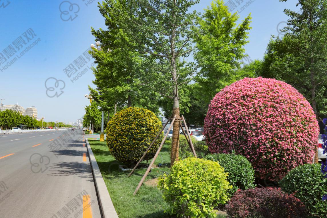 了解一下关于景观花球造景的基本原则