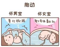 其实孕妈妈们胎动的感觉,完全取决于肚子2里的胎宝宝