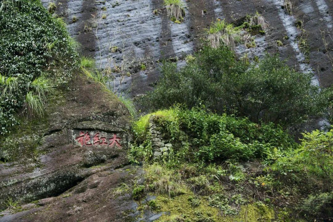 武夷山大红袍景点介绍图片