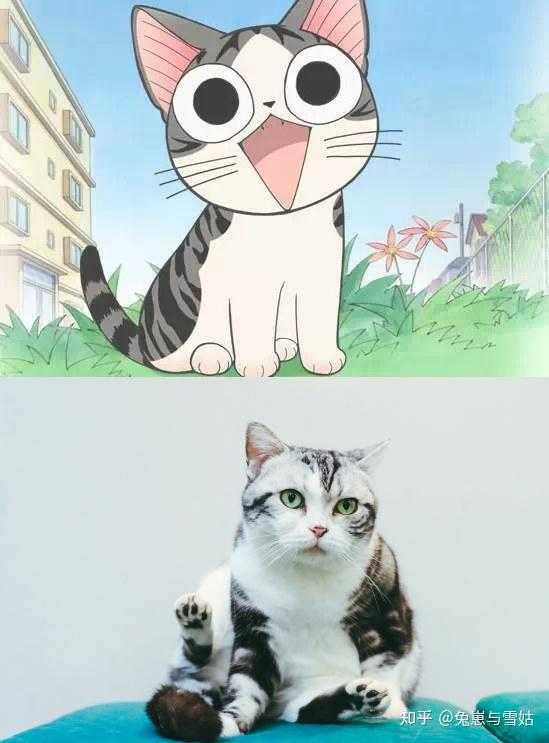 盘点那些动漫里的猫(不断更新) - 知乎