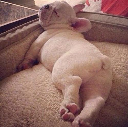 如何处理斜方肌紧张脖子粗的不良体态问题