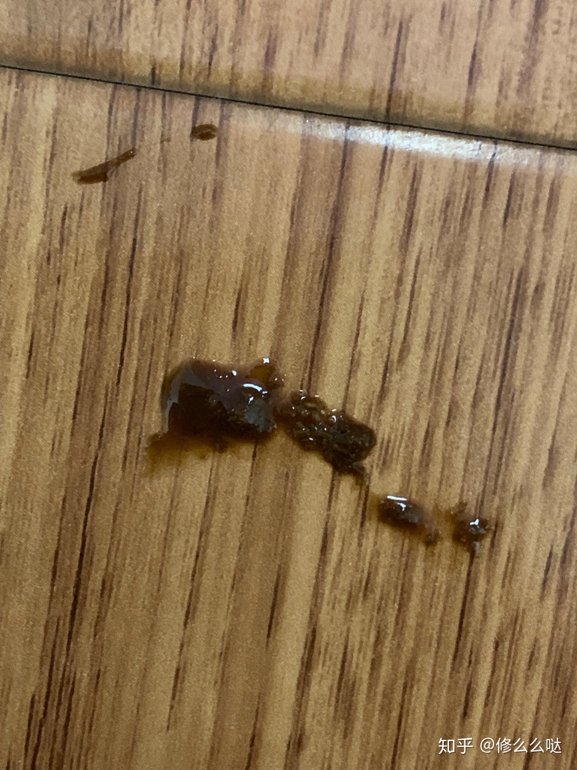 兔子拉肚子 糊状便 有酸臭 没力气趴着 发抖 怎么办?