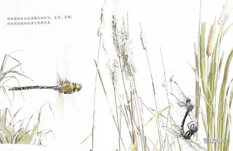 中国的凯迪克大奖这些优秀的国产绘本你都不知道那真的是太out了