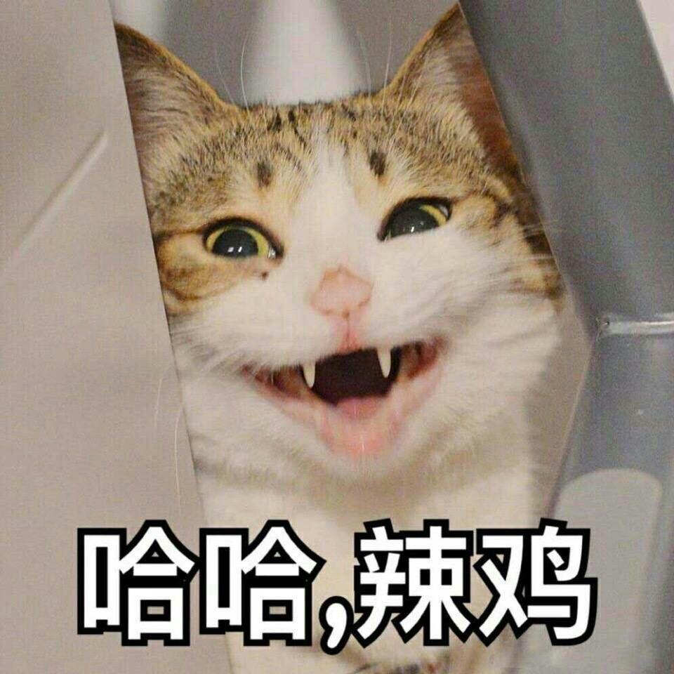猫咪害怕的表情图 v2-9bbe5cbbe5255efafbaa3ac72a7978c2_r.jpg