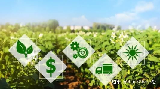 农业区块链如何完美配合上