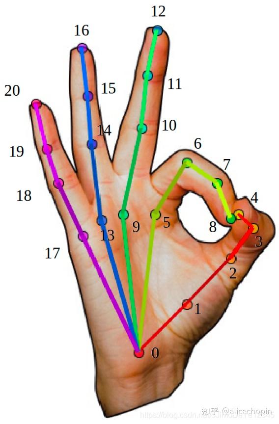手部关键点识别