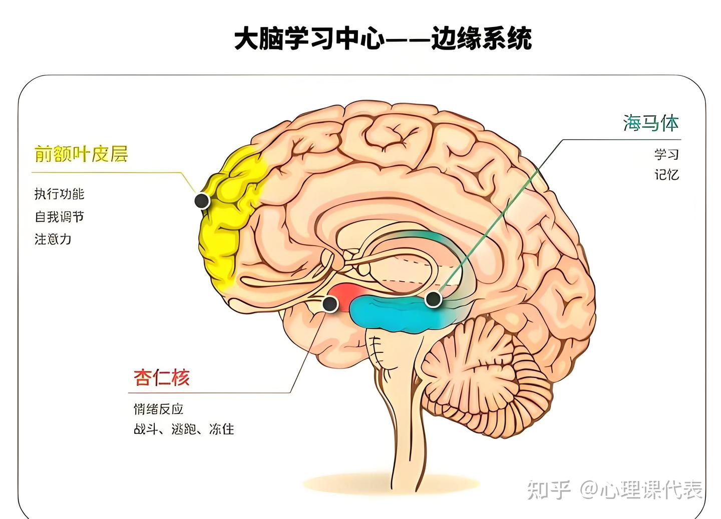 高考心理调适 | 从科学原理到实操技巧,助力考生考场正常发挥 - 知乎