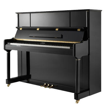 大师级别的钢琴家——朗朗