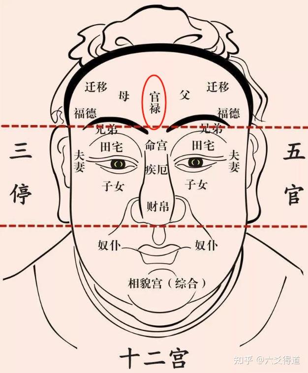 面相基础篇:麻衣相法五官、三停与十二宫详断 - 知乎