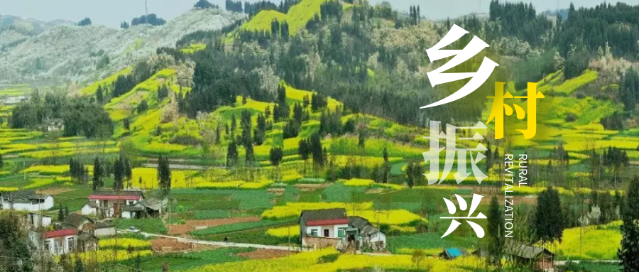 乡村振兴促进法6月实施重点突破23个领域