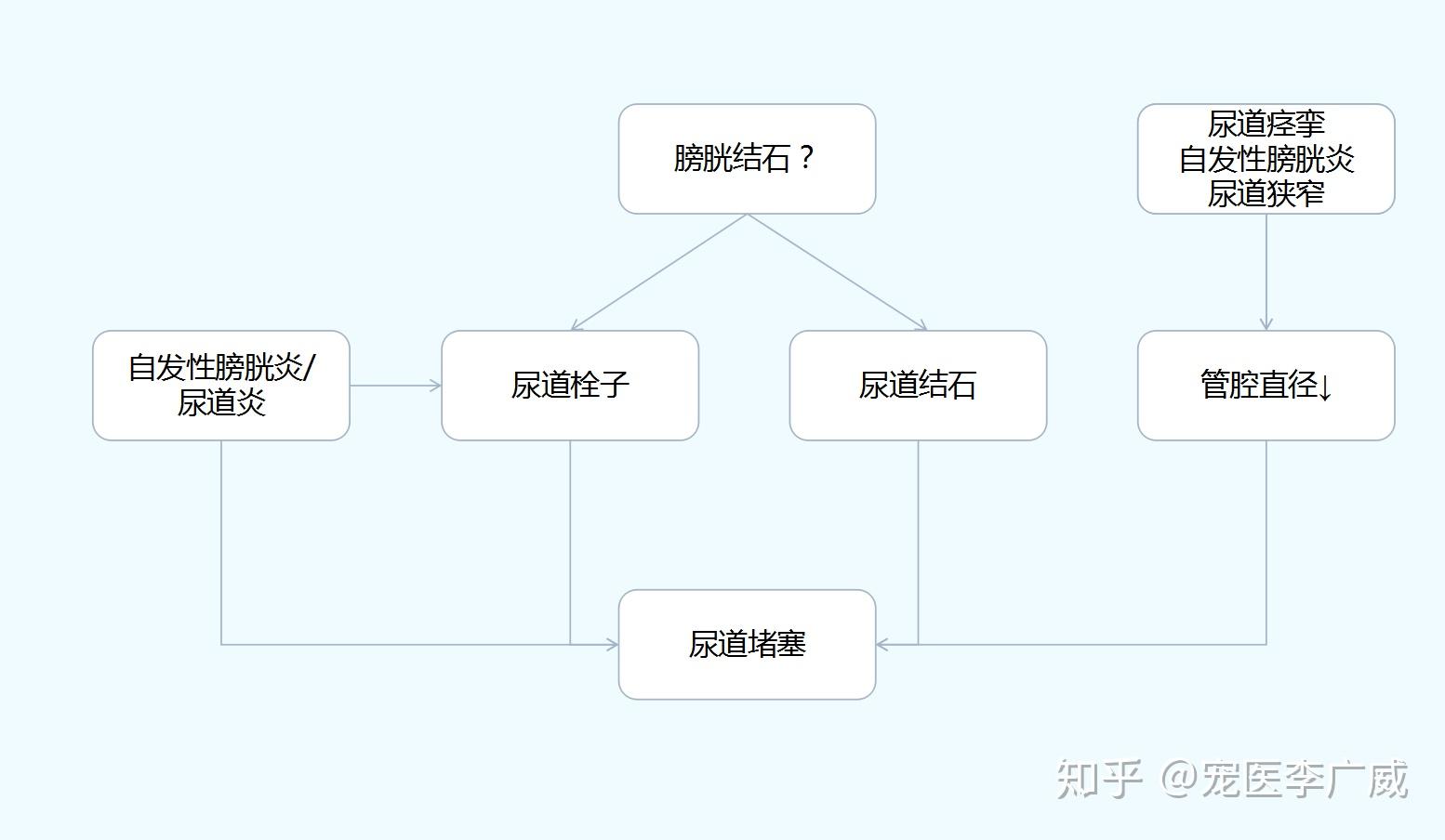 医生我家猫咪尿频尿急尿血尿尿的时候还会嗷嗷叫