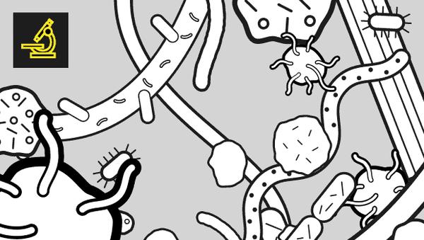 灰尘和污垢究竟是什么东西为什么老反复出现100的家庭洁净有没有可能