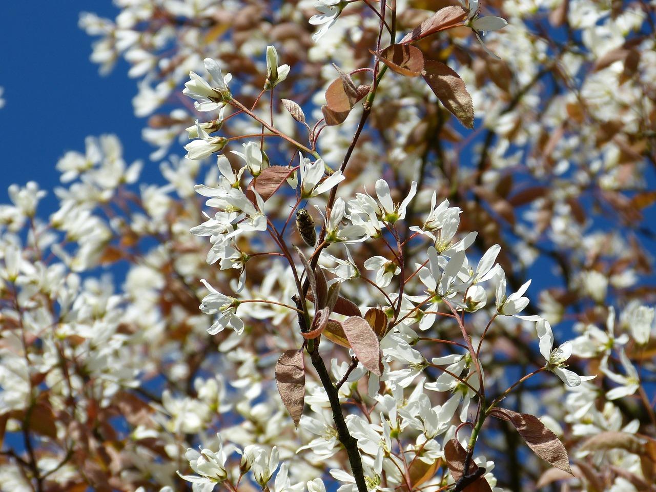 4. 室内通风处理