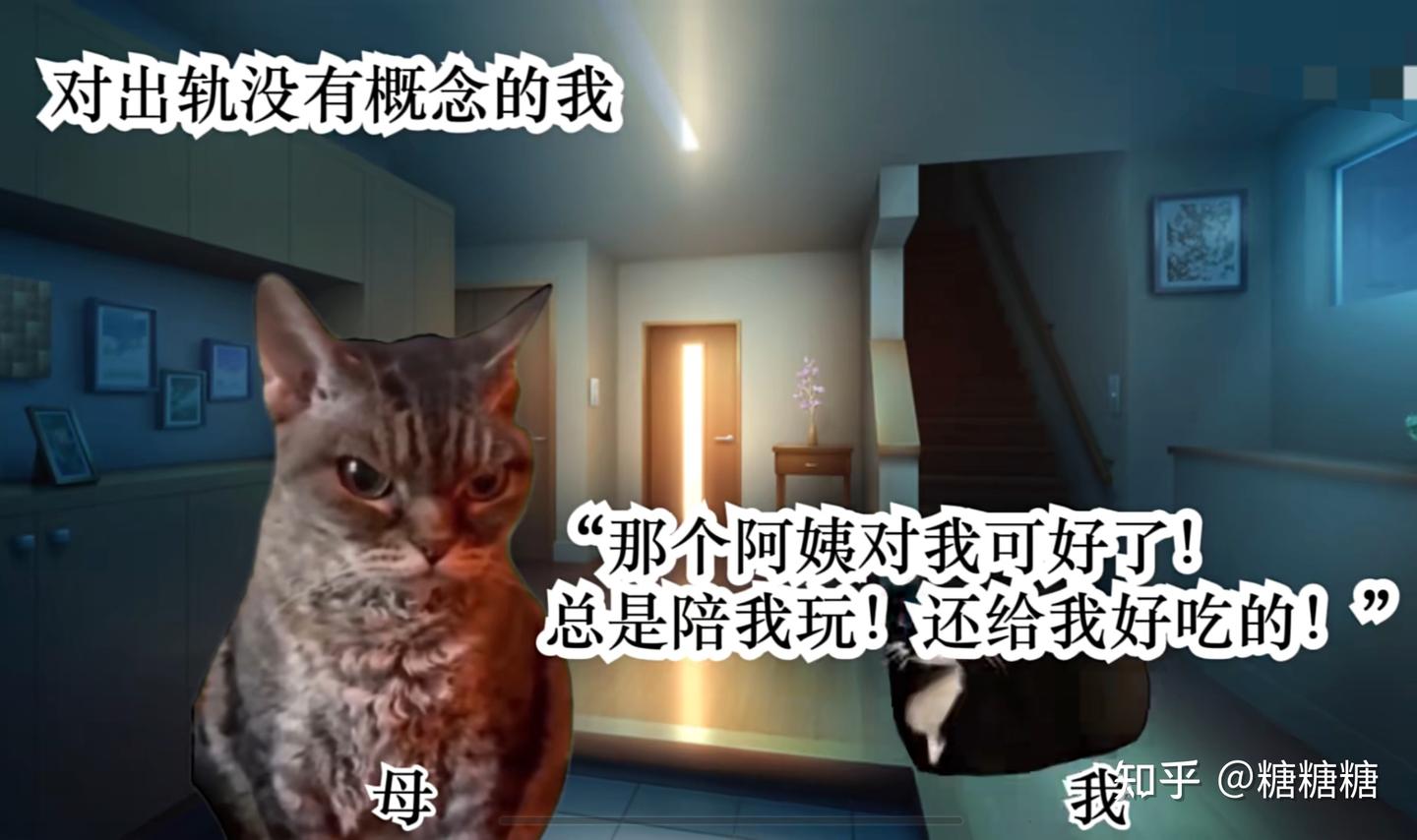 心理学视角下看猫meme表情包的爆火- 知乎