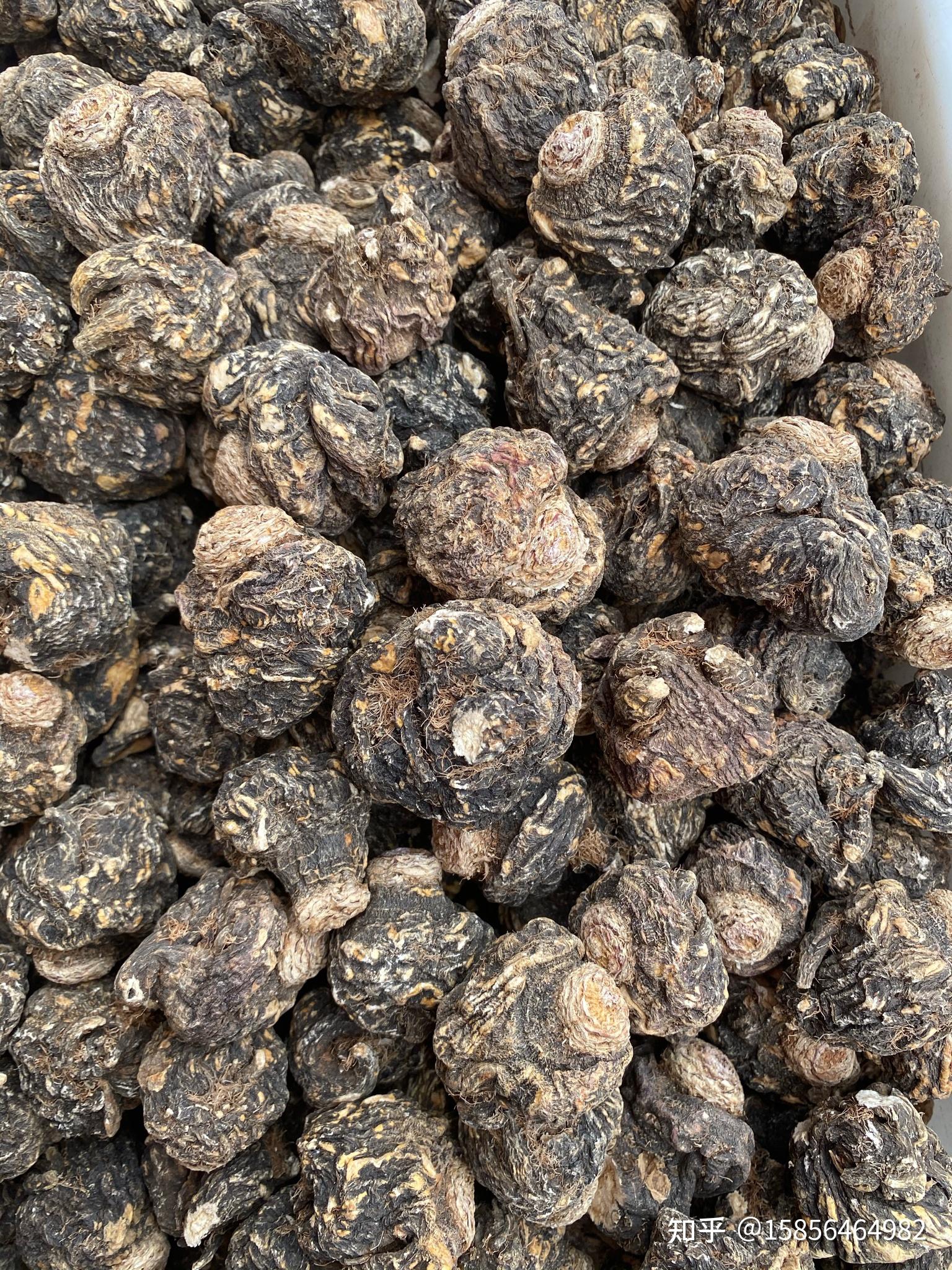 玛咖的功效与作用