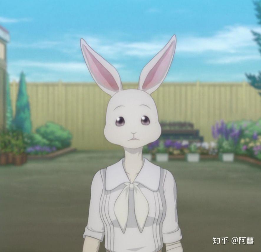 有哪些动物狂想曲/beastars好看的头像? - 知乎