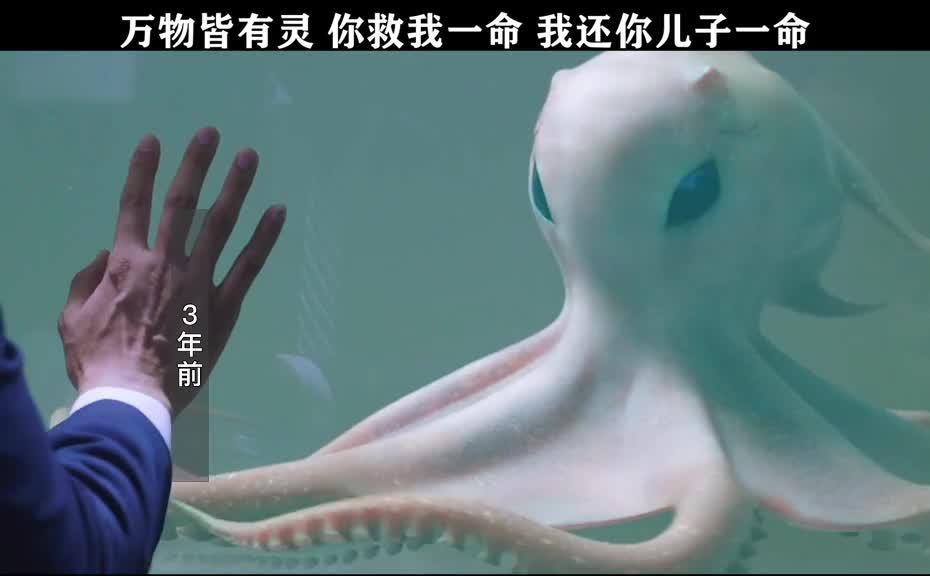 深海大章鱼的恐怖电影图片