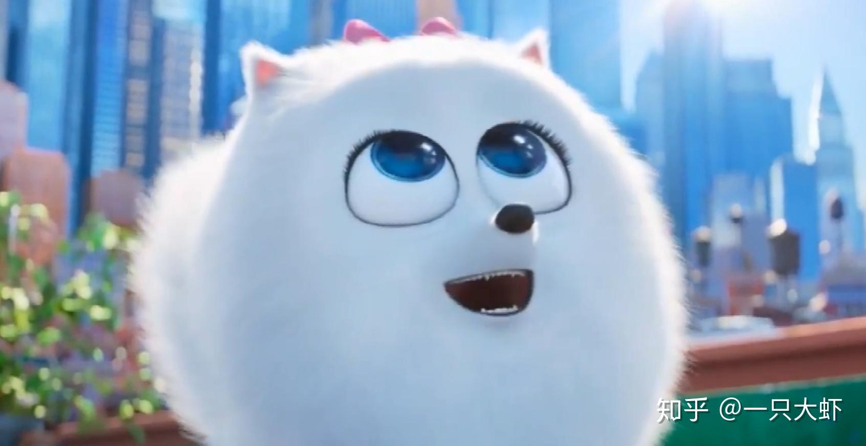 求爱宠大机密小白狗啾啾的头像