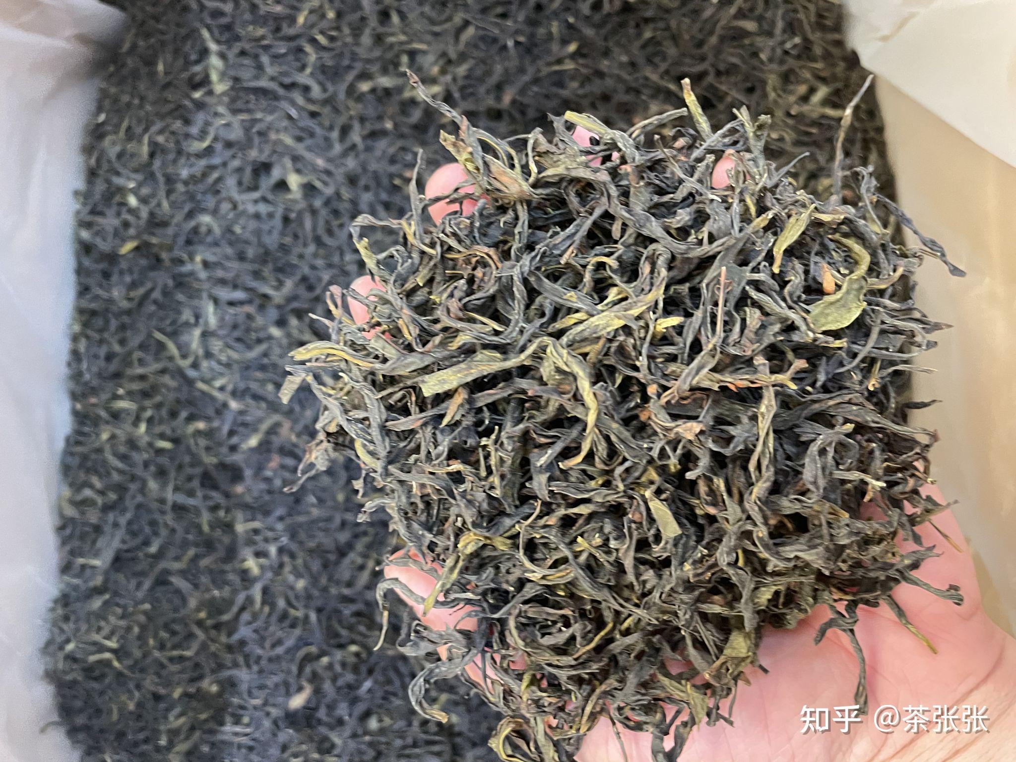 炭焙凤凰单丛茶