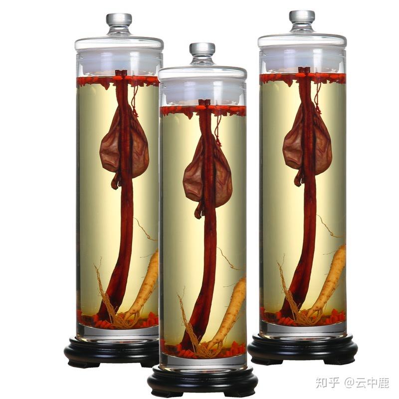 比较推荐大家做三鞭酒,很多人肯定听说过,或者正在喝,做法也不难.