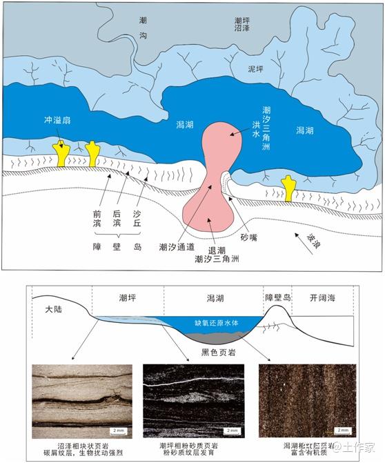 海陆过渡相页岩气层系沉积研究进展与页岩气新发现 - 知乎