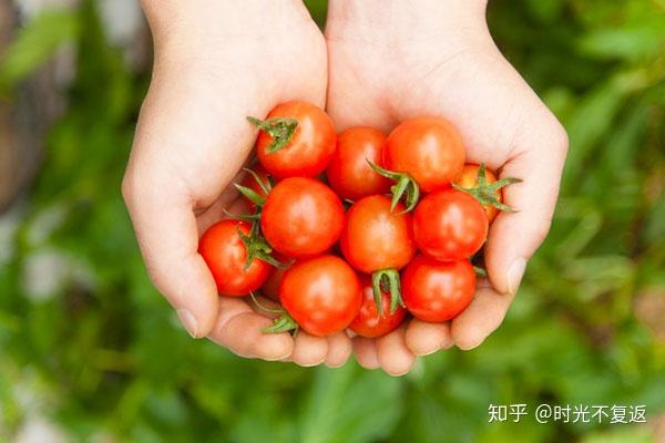 常吃蔬菜皮肤能变好吗_蔬菜皮肤吃好还是不吃_吃什么蔬菜对皮肤好