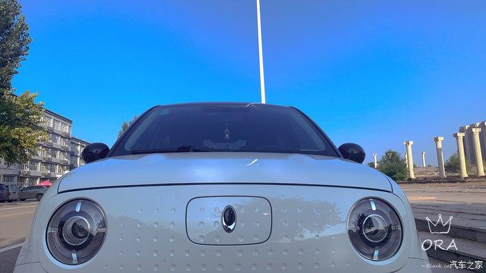 有爱有家有欧拉黑猫,才近乎完整,谈谈感受 - 知乎