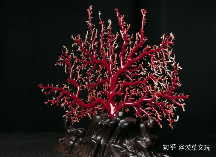 对于红珊瑚的原料或原石来说,鉴别是比软容易的.