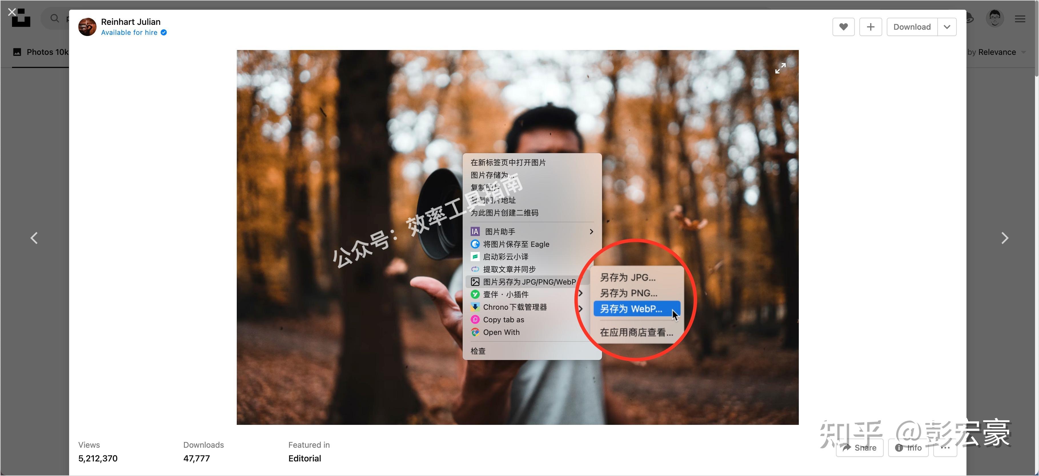 谷歌游览器下载的图片都是webp格式如何直接下载成那种普通的模式