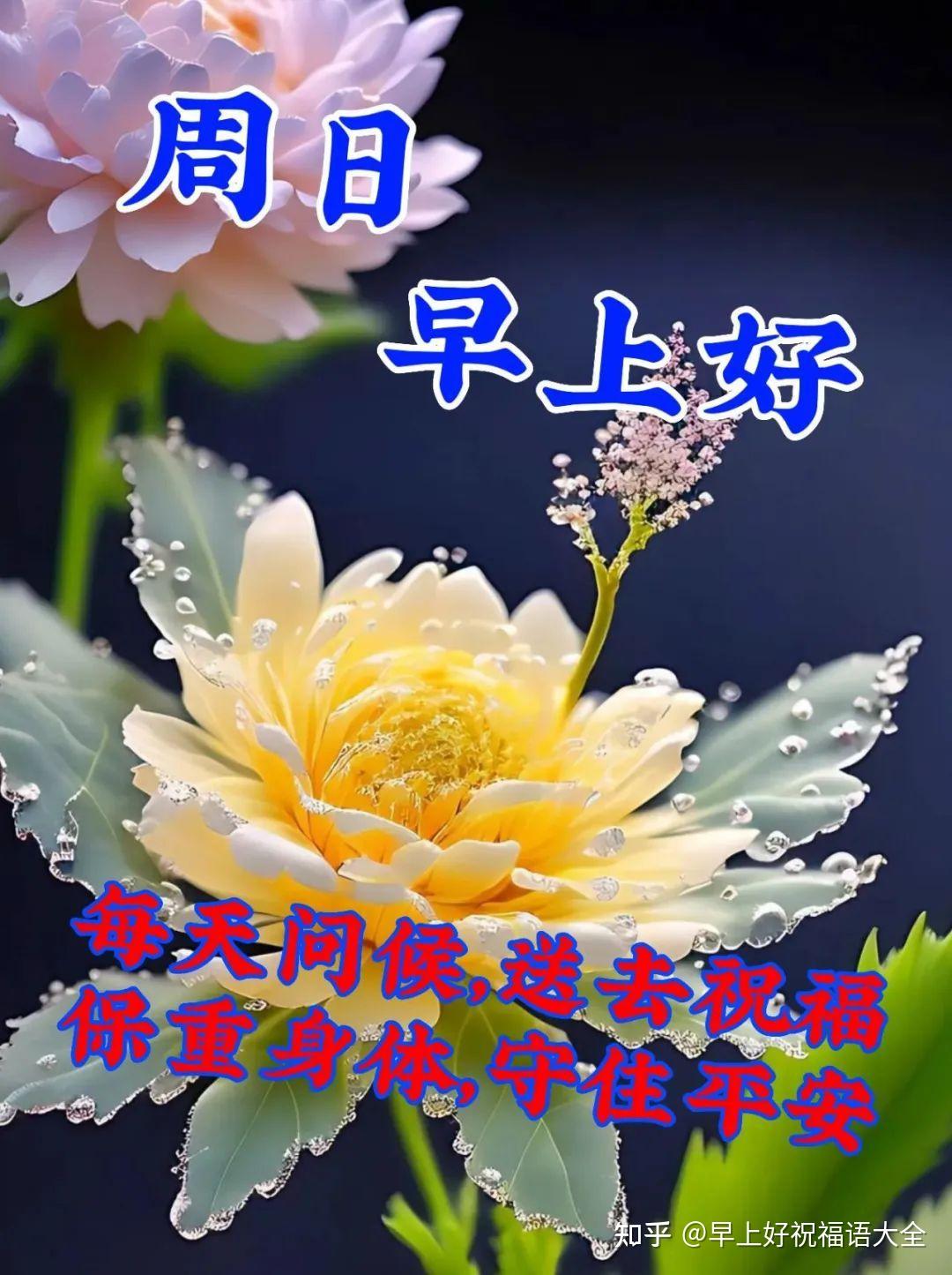 7月2日周日早安周末祝福语漂亮的问候语图片 - 哔哩哔哩